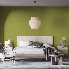 Peinture murs et plafonds biosourcée et dépolluante Vert Aglandau Mate 3L, COLIBRI 4