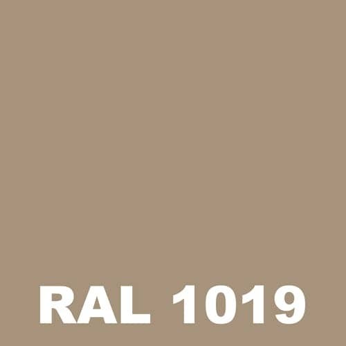 Laque Antirouille - Metaltop - Beige gris - RAL 1019 - Pot 5L 1