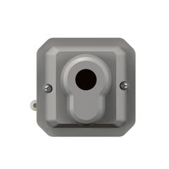 interrupteur à clé - ronis - 3 positions - gris - composable - legrand plexo 069535l