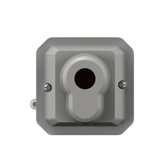 interrupteur à clé - ronis - 3 positions - gris - composable - legrand plexo 069535l 0