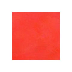 Béton Ciré Sol en - Primaire et vernis de finition inclus - 5 m² (en 2 couches) - Kumquat Orange - ARCANE INDUSTRIES 5