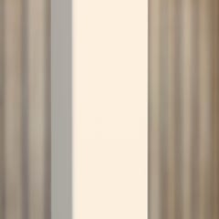 Schulte porte de douche pivotante en niche, 100 x 200 cm, décalage l´ouverte de la porte 20 cm, verre 6 mm transparent autolevant, profilé blanc mat 3