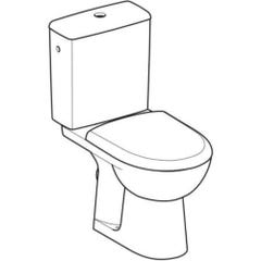 Pack WC au sol sans bride Renova - Geberit - Blanc - 78.5x37cm 5