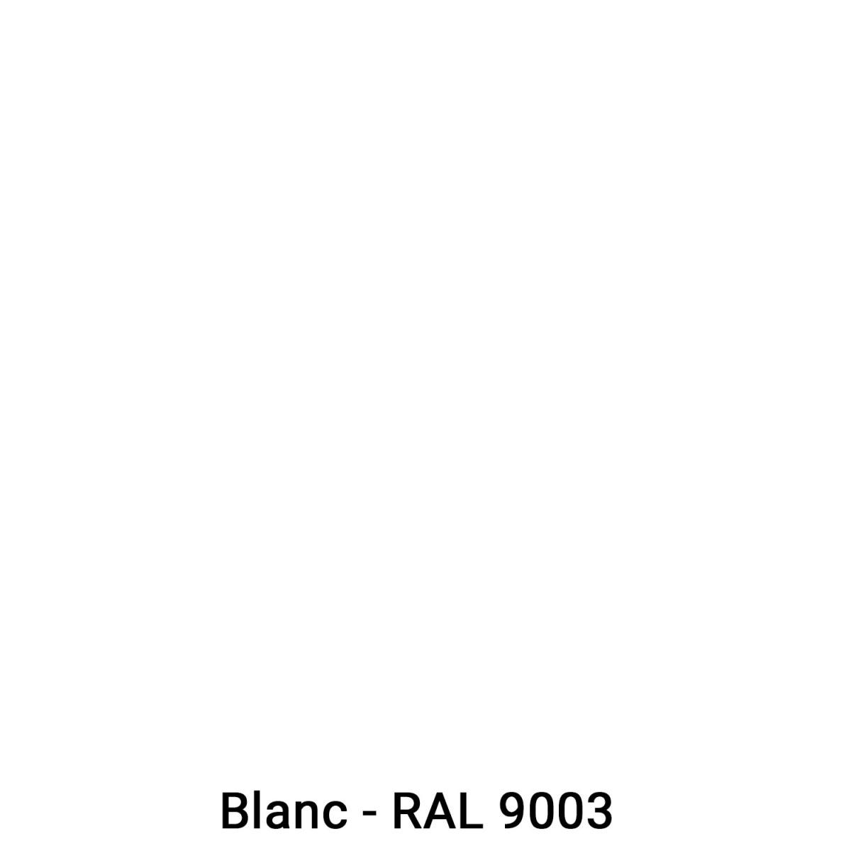 Peinture métal et fer pour : portail, grille, garde corps : ARCALAQUE 101 Blanc - RAL 9003 - 2.5 LARCANE INDUSTRIES 6