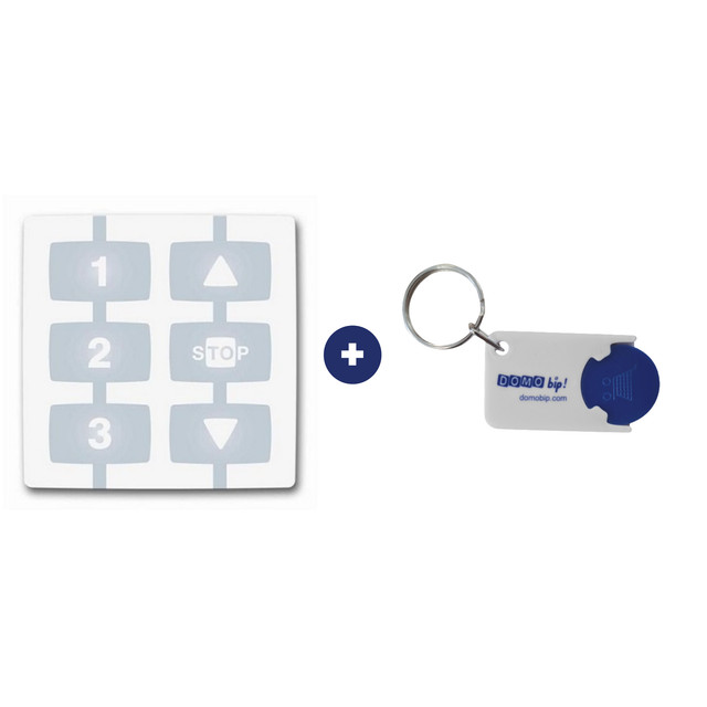 Télécommande Nice WM003C1G + 1 porte-clés Domobip offert