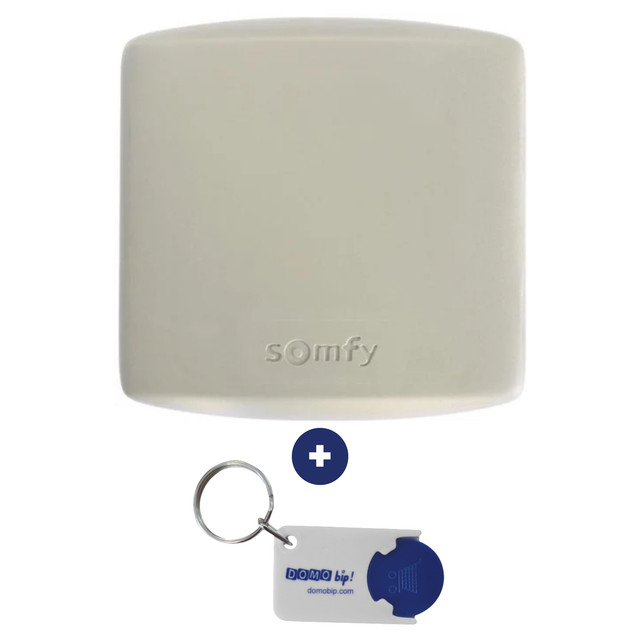 Récepteur radio universel SOMFY 2400556 + 1 Porte-clés DOMOBIP