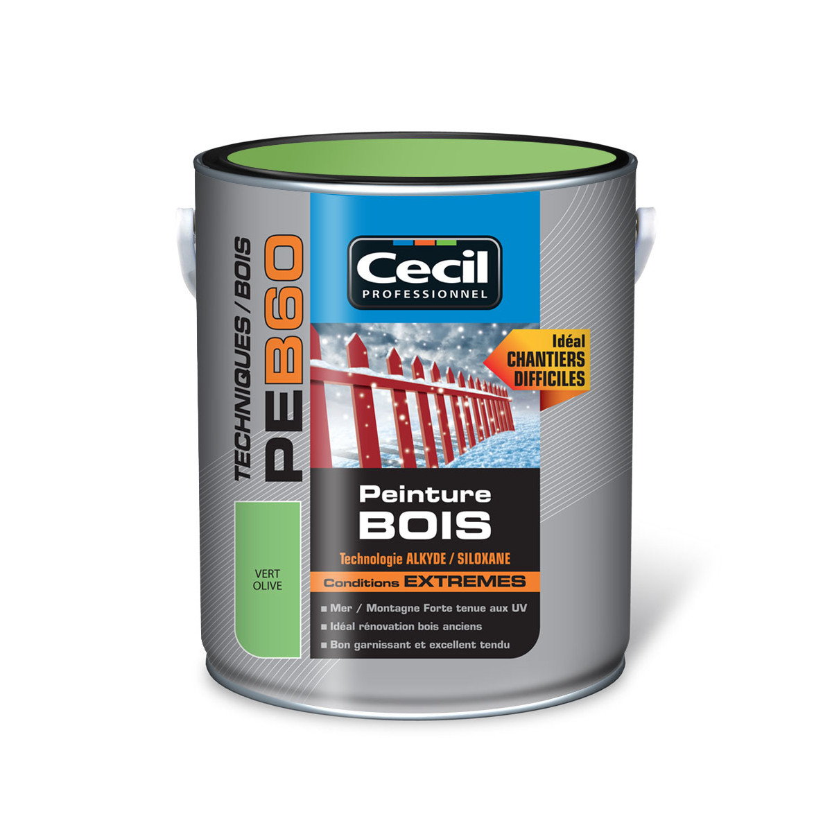 Peinture bois glycéro PE B60