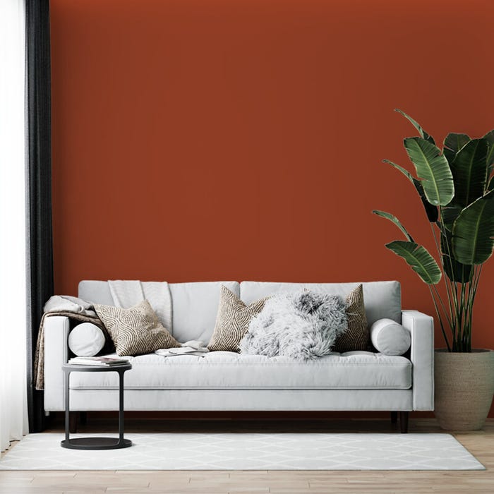 Peinture biosourcée murs et plafonds, Orange Grive, Velours, 12L, COLIBRI 3