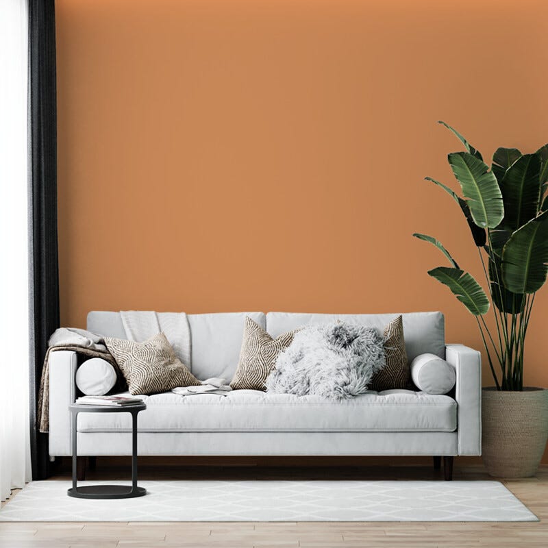 Peinture biosourcée murs et plafonds, Orange Passereau, Velours, 12L, COLIBRI 3