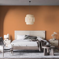 Peinture biosourcée et dépolluante murs et plafonds, Orange Passereau, Velours, 12L COLIBRI 4