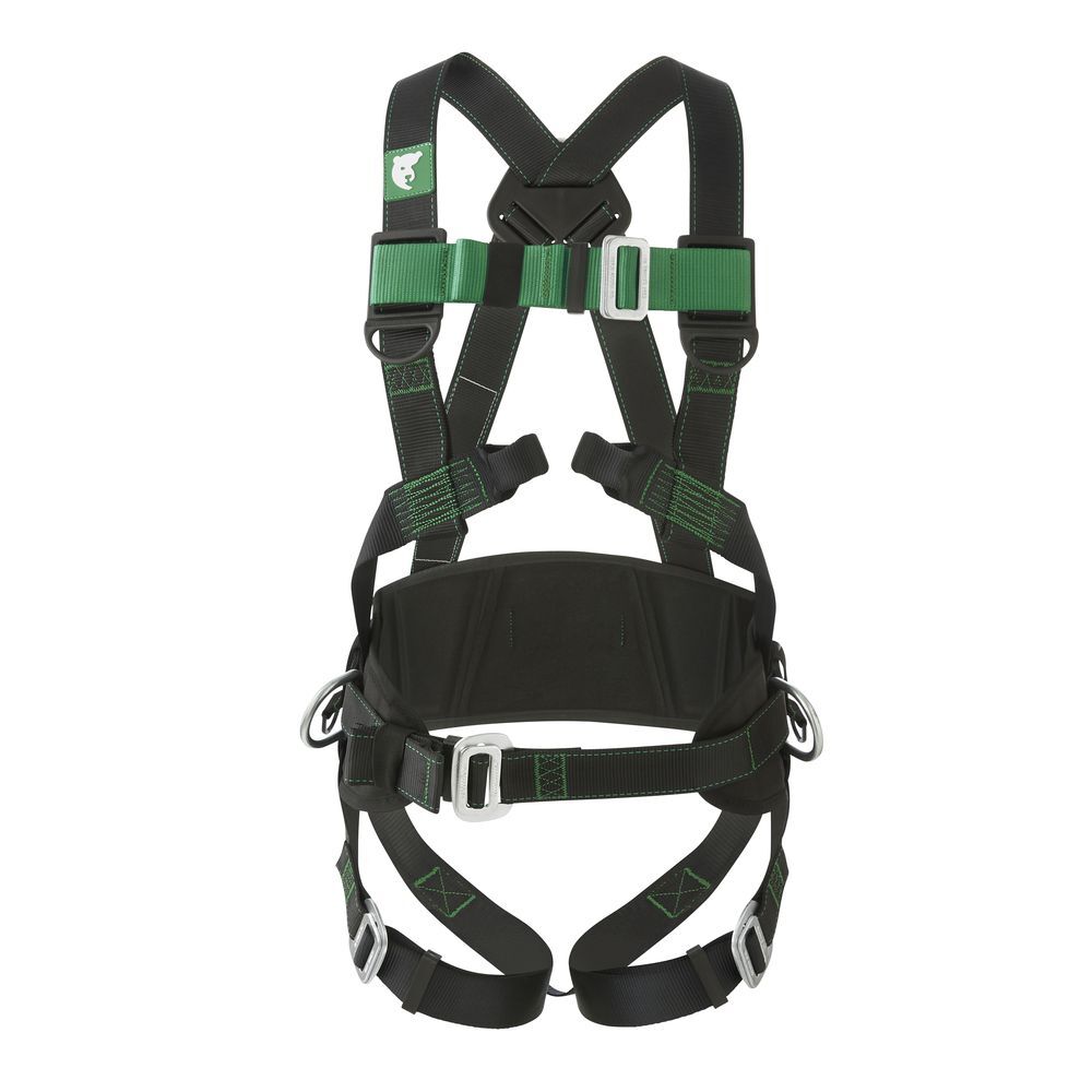 Harnais antichutes avec ceinture de maintien Coverguard POLARIS Noir / Vert Unique