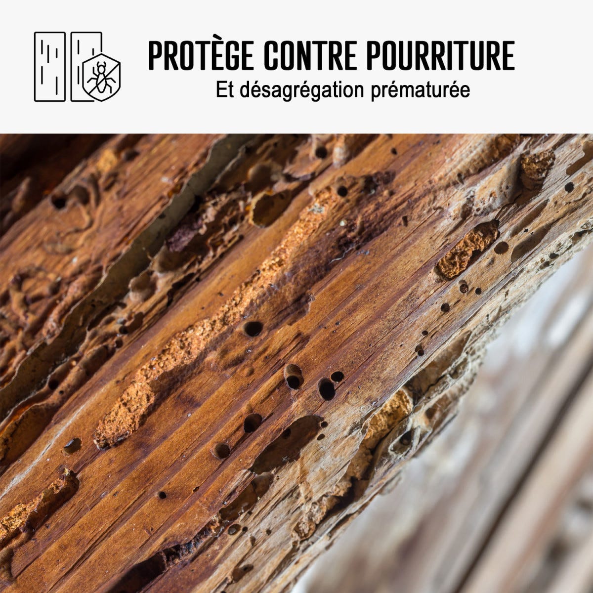 Traitement Mérule : Traitement Des Bois, Murs, Caves, Charpente - 5 L - Arcane Industries 4