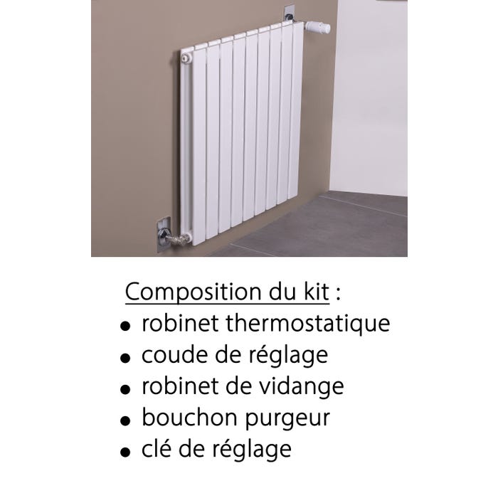 Kit Thermostatique Radiateur Nickelé 15x21 (1/2) 2