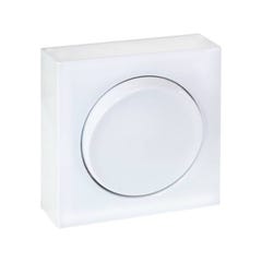 Interrupteur bouton poussoir 10AX - Blanc - DUNE