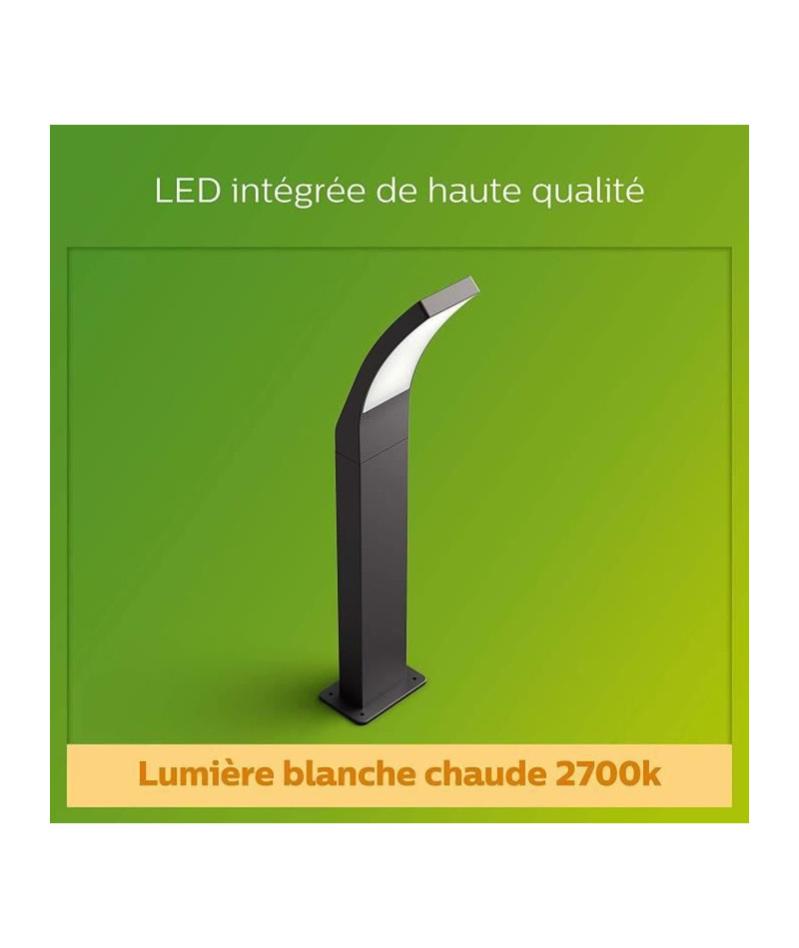 PHILIPS Borne SPLAY - 12W - Anthracite