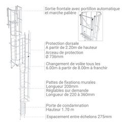 Echelle crinoline - Hauteur à franchir de 13.20 a 13.50m - CS135-CSPC 1