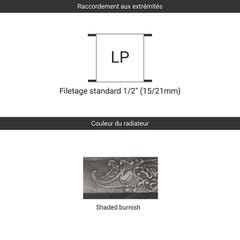 Radiateur fonte mural - Hauteur 660mm - Longueur 1262mm - 2145 watt - Epaisseur 225mm - Contenance 33.75L - OXF660/1262FB4 2