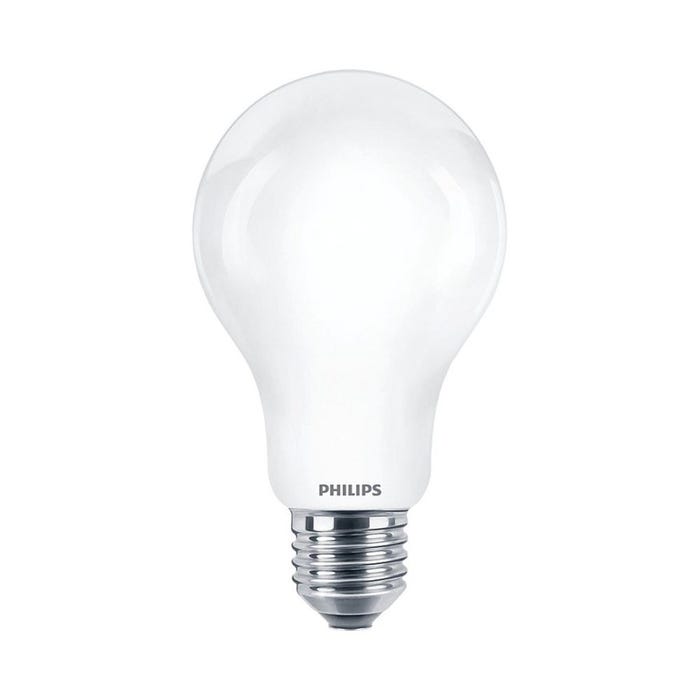Ampoule LED standard PHILIPS - EyeComfort - 13W - 2000 lumens - 4000K - E27 - 93004 5