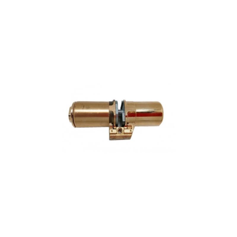 Cylindre monobloc court 787Z A2P* pour G171 doré - FICHET - 75065820