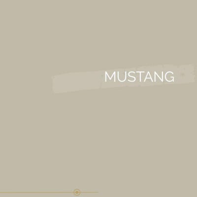 Testeur Peinture Intérieure - Murs, Plafonds et Bois - Mustang, 100ml finition mate