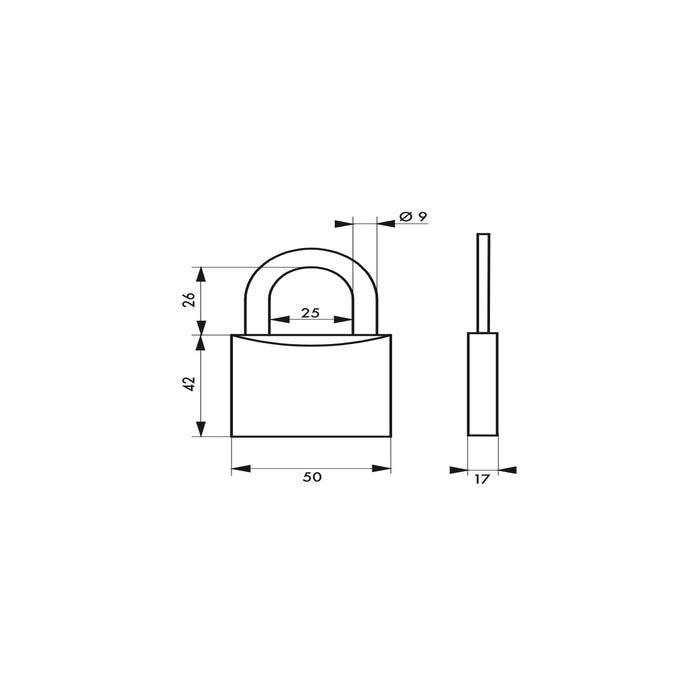 THIRARD - Cadenas à clé, intérieur, 50 mm, anse acier cémenté, 2 clés 3