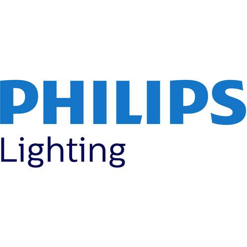Ampoule LED E27 Philips décorative à filament - LED giant 25W E27 G200 4000K smoky D 1
