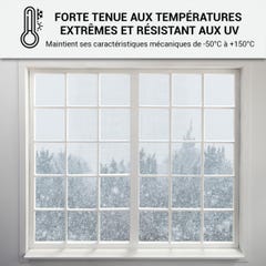 Mastic Silicone intérieur / extérieur pour fenêtres et menuiseries : ARCAMASTIC BATIMENT Gris Anthracite - RAL 7016 - 300 ml x 5ARCANE INDUSTRIES 3