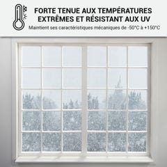 Mastic Silicone intérieur / extérieur pour fenêtres et menuiseries : ARCAMASTIC BATIMENT Gris Anthracite - RAL 7016 - 300 ml x 5ARCANE INDUSTRIES 6