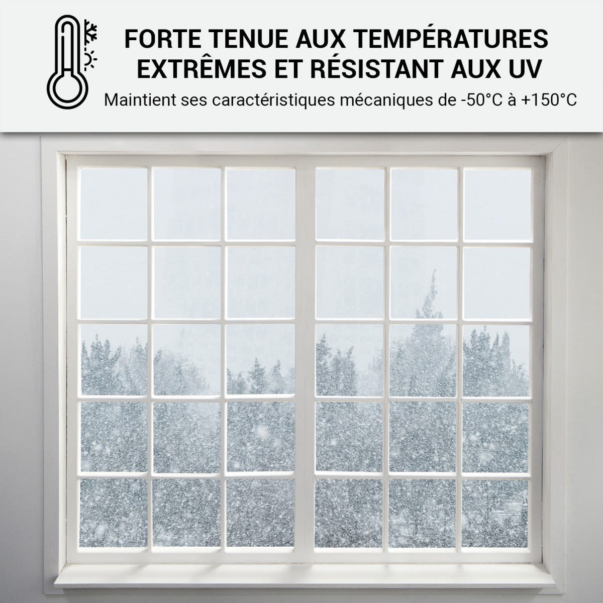Mastic Silicone intérieur / extérieur pour fenêtres et menuiseries : ARCAMASTIC BATIMENT Gris Anthracite - RAL 7016 - 300 ml x 12ARCANE INDUSTRIES 3