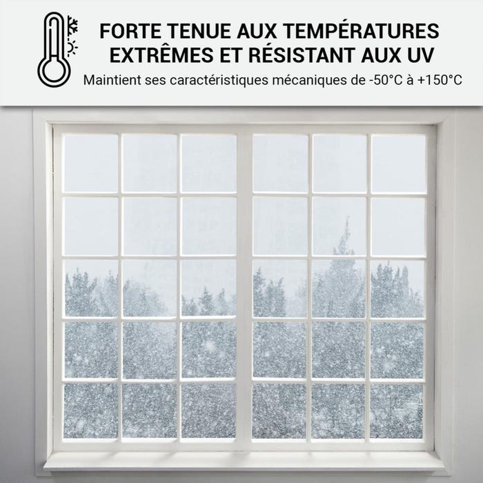 Mastic Silicone intérieur / extérieur pour fenêtres et menuiseries : ARCAMASTIC BATIMENT Transparent - 300 ml x 1ARCANE INDUSTRIES 3