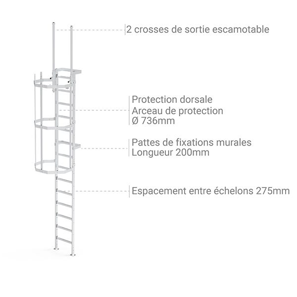 Echelle crinoline - Hauteur de bâtiment 7.00m - CS/2SD/700 1