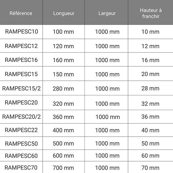 Rampe PMR - Profondeur 500mm - Hauteur à franchir 50mm - Largeur 1000mm - RAMPESC50 1