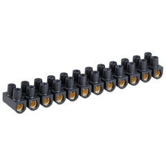 Domino électrique - Barrette laiton noire 12 plots à vis 16 mm² - 76A 1