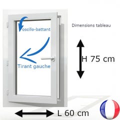 Fenêtre PVC 1 vantail H 75 x L 60 cm OB avec poignée tirant gauche 0