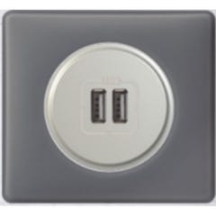 Chargeur USB Type-A double Céliane Poudré Schiste Non Legrand 0