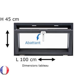 Fenêtre PVC abattant H 45 x L 100 cm anthracite avec poignée 0