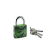 THIRARD - Cadenas à clé Green Idea Chanvre, acier, intérieur, anse acier, 30mm, 2 clés