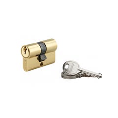 THIRARD - Cylindre à clé crantée 20 x 20 mm laitonné 3 clés
