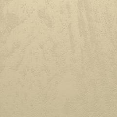 Revêtement wedi sahara beige Top Wall 2500x900x6mm 1