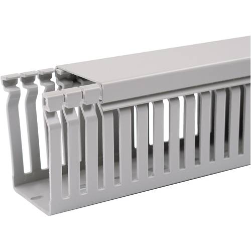 Goulotte de câblage OBO Bettermann 6178014G gris 1 pc(s)