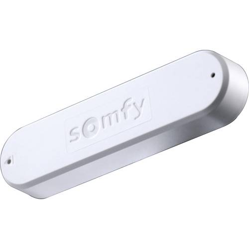 Capteur de vent Somfy 9016355