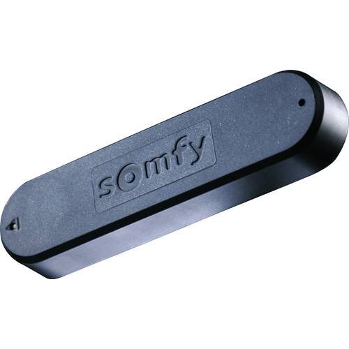 Somfy 9016354 Capteur de vent 2