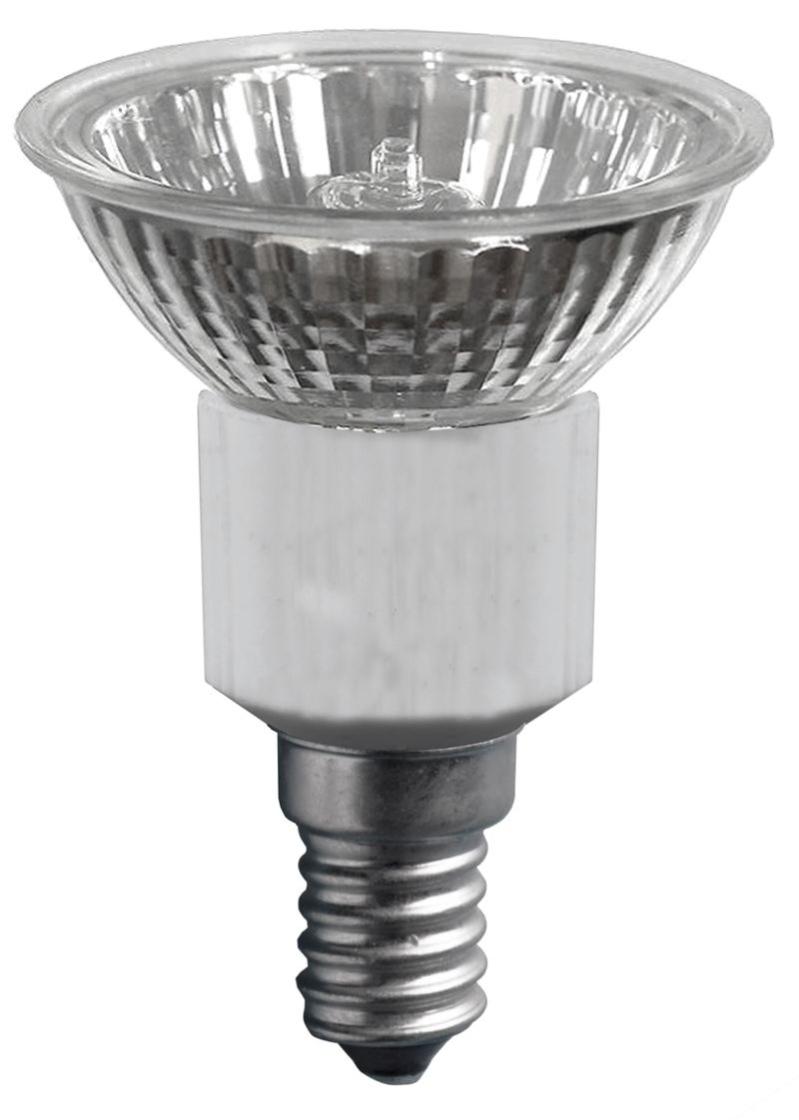 1 ampoule 230 lumen 40W A vis E14