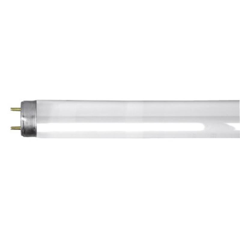 Tubes fluorescent T8 standard 36W 4000K° par 25 pièces