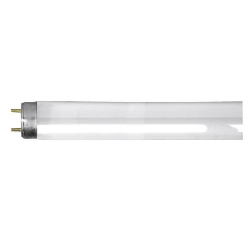 Tubes fluorescent T8 standard 36W 6400k par 25 pièces