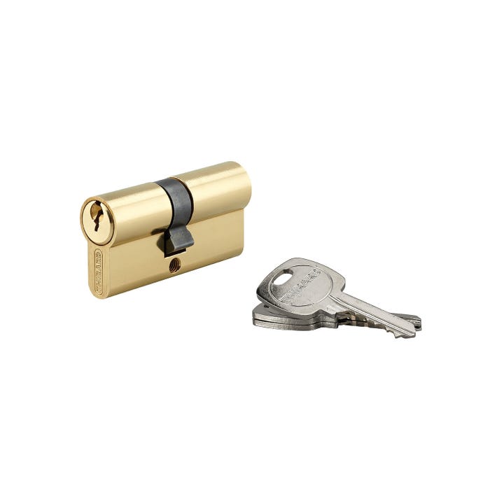 THIRARD - Cylindre de serrure double entrée, 30x35mm, anti-arrachement, 3 clés, laiton 4