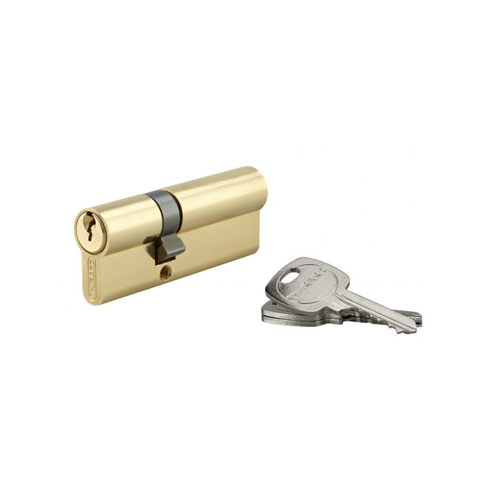 THIRARD - Cylindre de serrure double entrée, 30x50mm, anti-arrachement, laiton, 3 clés 0