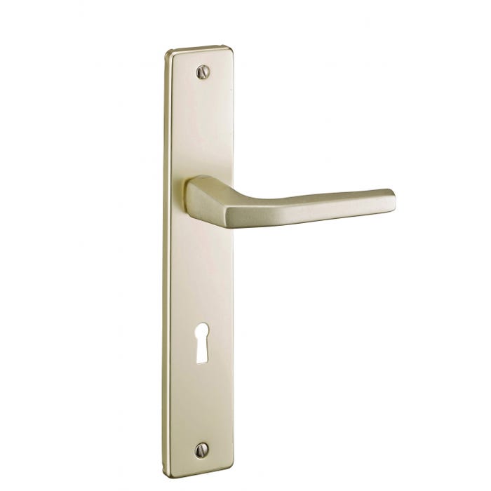 THIRARD - Ensemble de poignées pour porte intérieure Picardie trou de clé, carré 7mm, entr'axes 195mm, couleur F2 0