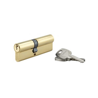 THIRARD - Cylindre de serrure double entrée, 40x50mm, anti-arrachement, laiton, 3 clés 3