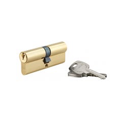 THIRARD - Cylindre de serrure double entrée, 40x40mm, anti-arrachement, laiton, 3 clés